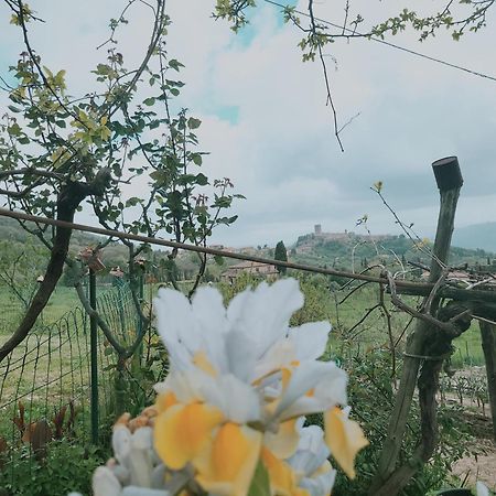 I Castagnini Apartment Montecatini Val di Cecina Ngoại thất bức ảnh